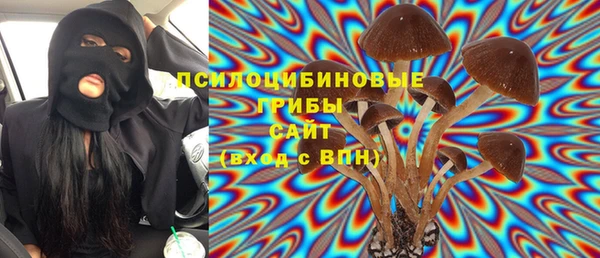Альфа ПВП Лиски
