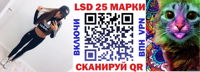 где продают наркотики  Новоалександровск  Наркотические марки 1500мкг 